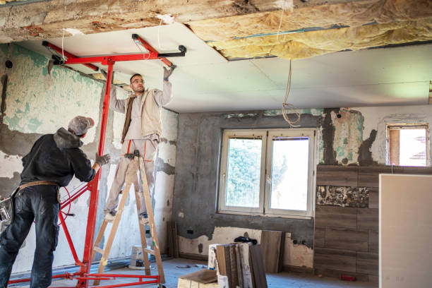 Insulation Inspection Services in Ellicott City, MD